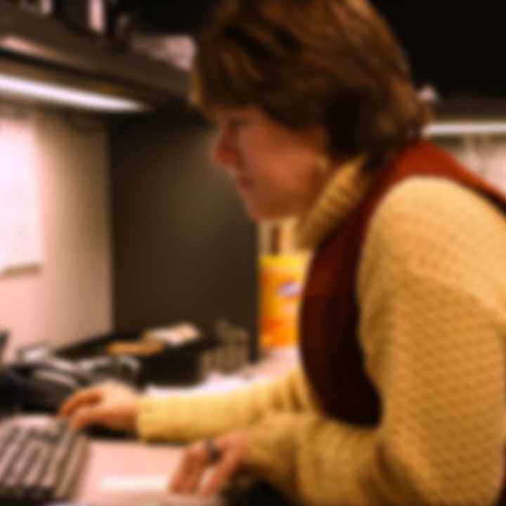 Picture of a woman at a computer